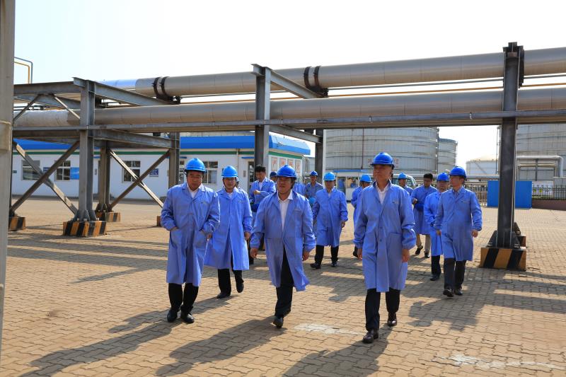 ��������(ֱӪ)�ٷ���վ